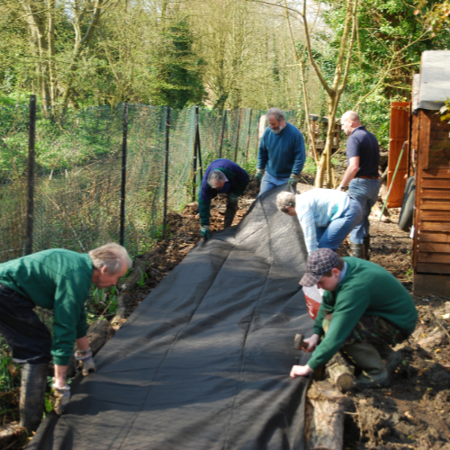 Working in the Woodland