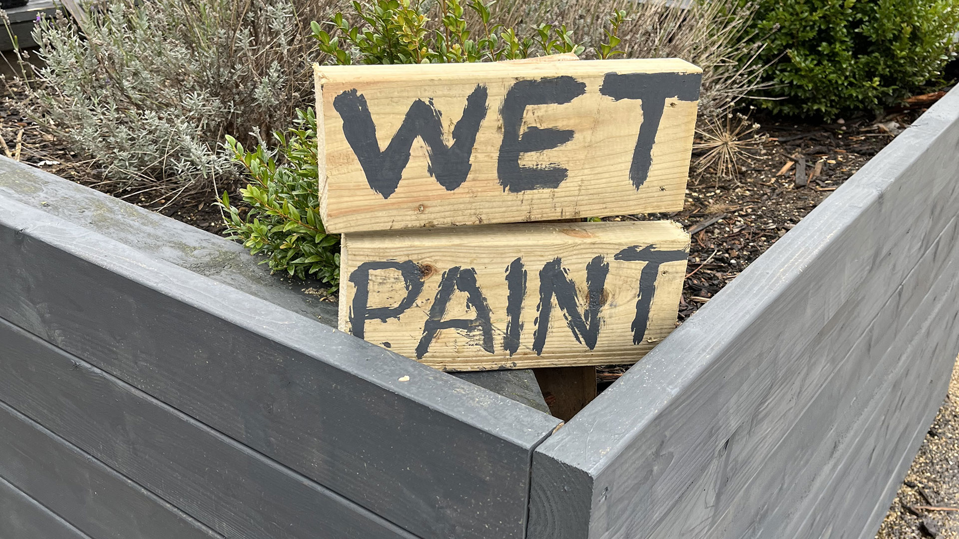 Ipswich volunteers restore vandalised planters for Suffolk university graduation